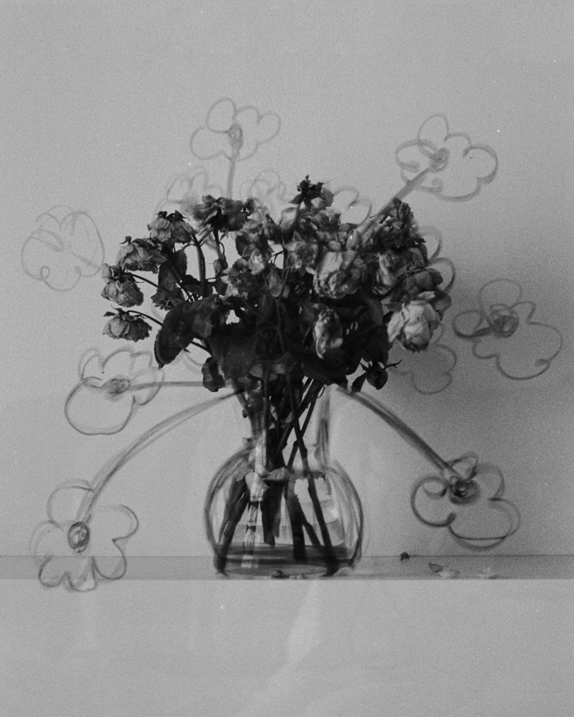 Prints. Kate Vasileva — Fine Art Photography