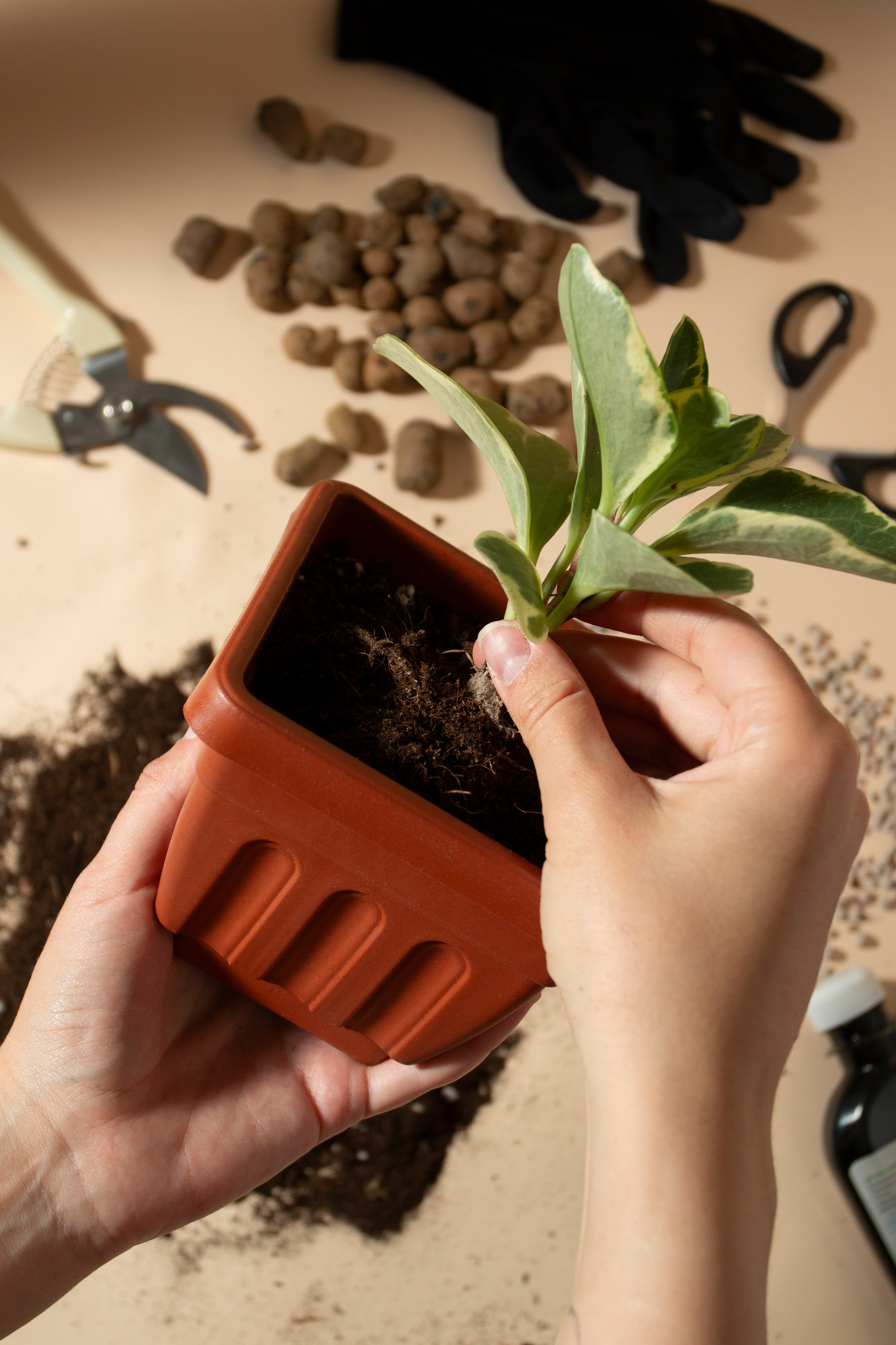 Предметная фотография. Фотограф Злата Спицына