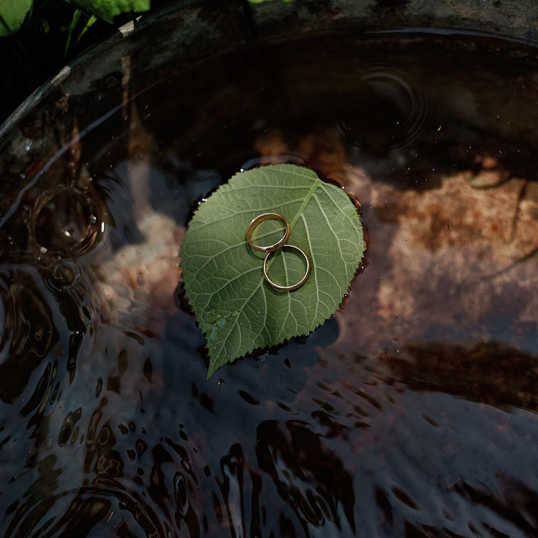 Контакты. Главная