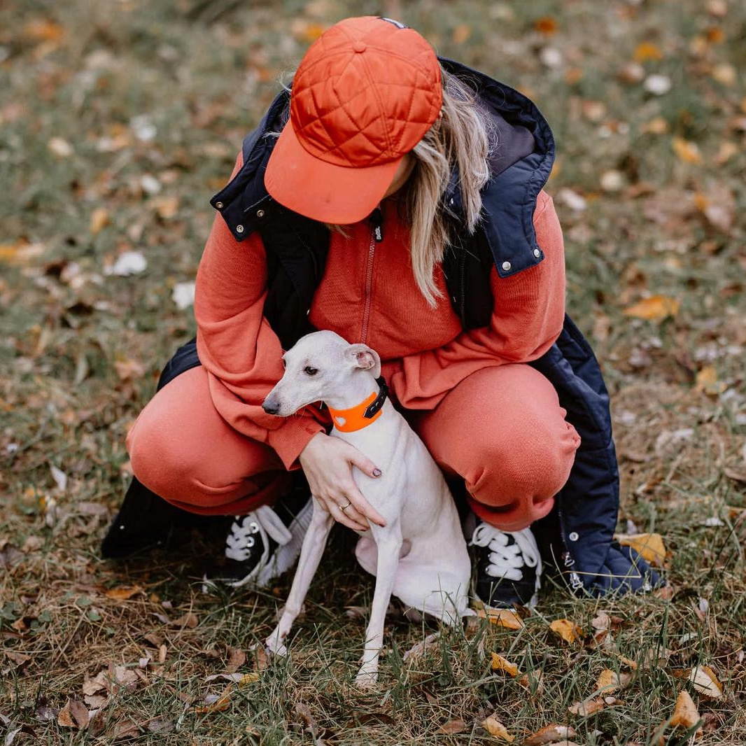 Отзывы от наших любимых владельцев. Профессиональный питомник левреток РКФ/FCI ASTI SAPPHIRE 💎 Сочи|Санкт-Петербург