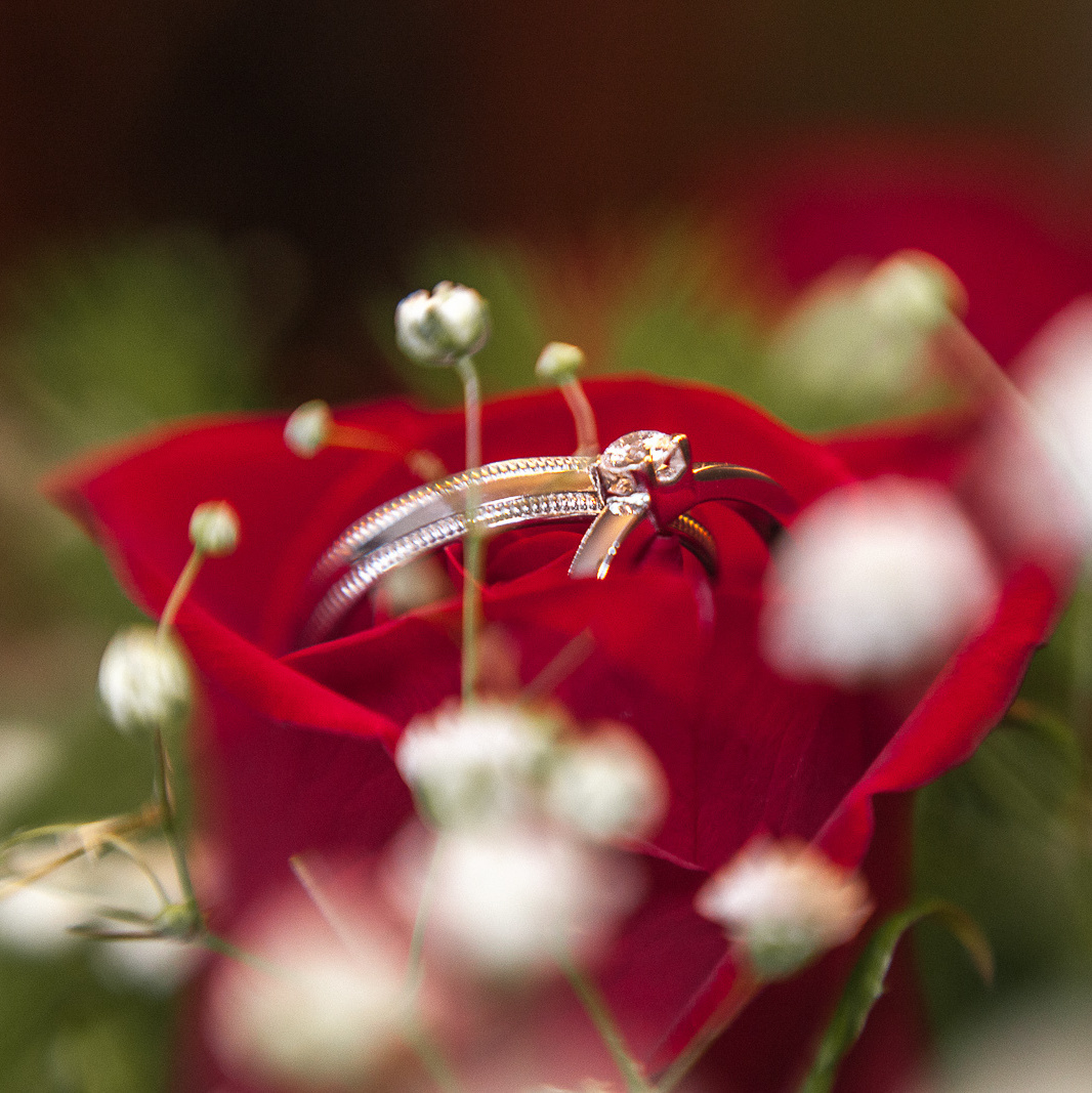 свадебный фотограф в Москве