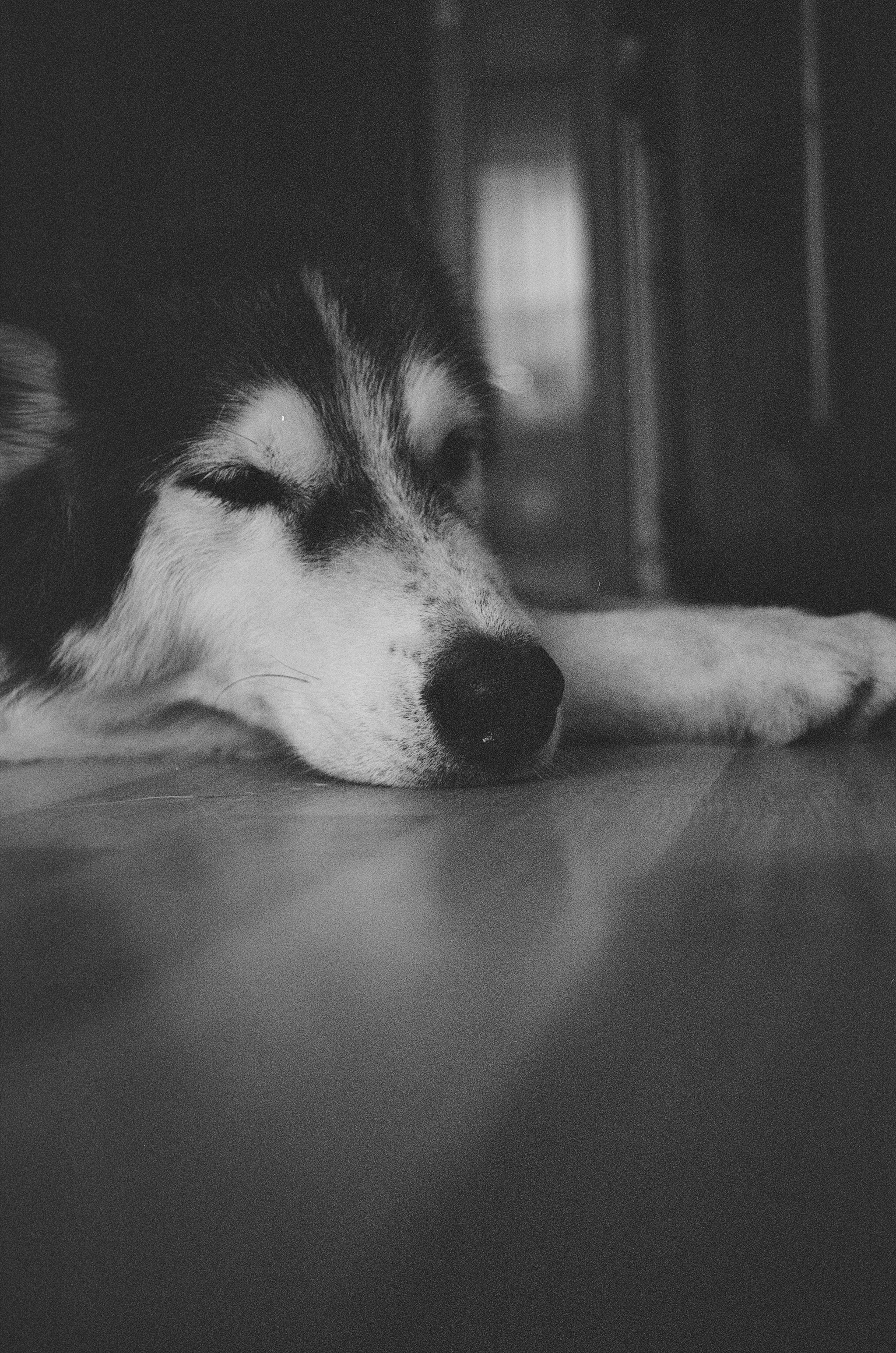 Капли света на твоей майке. Фотограф · barwarm35mm · Москва