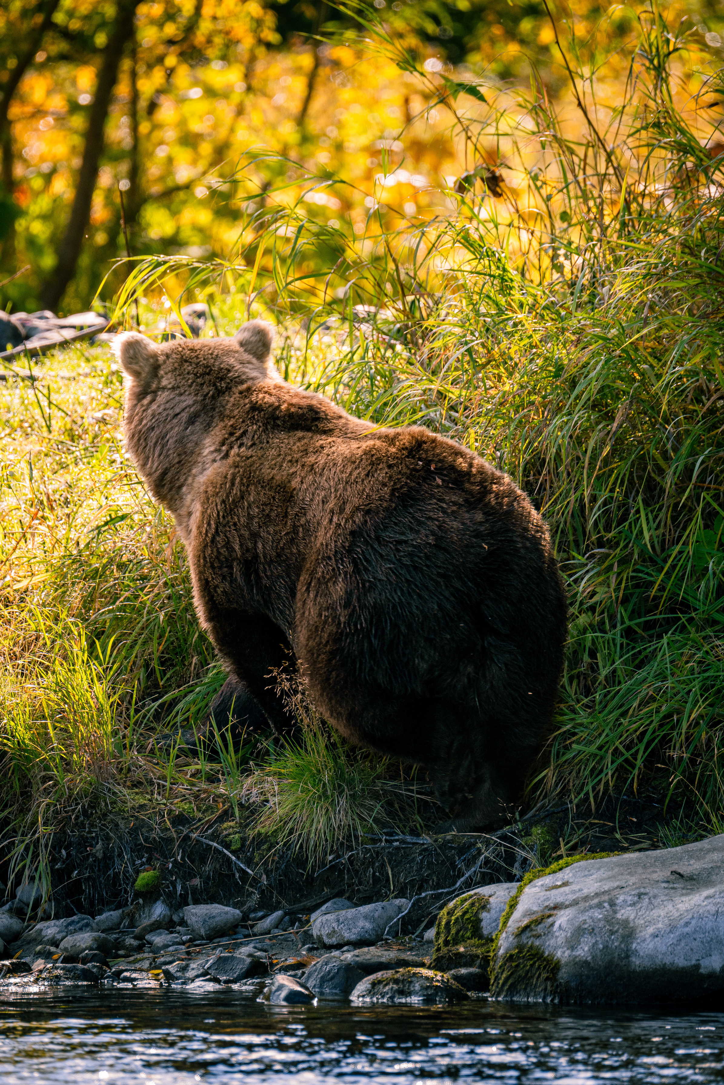 Amateur photographer Nikolai Abushinov