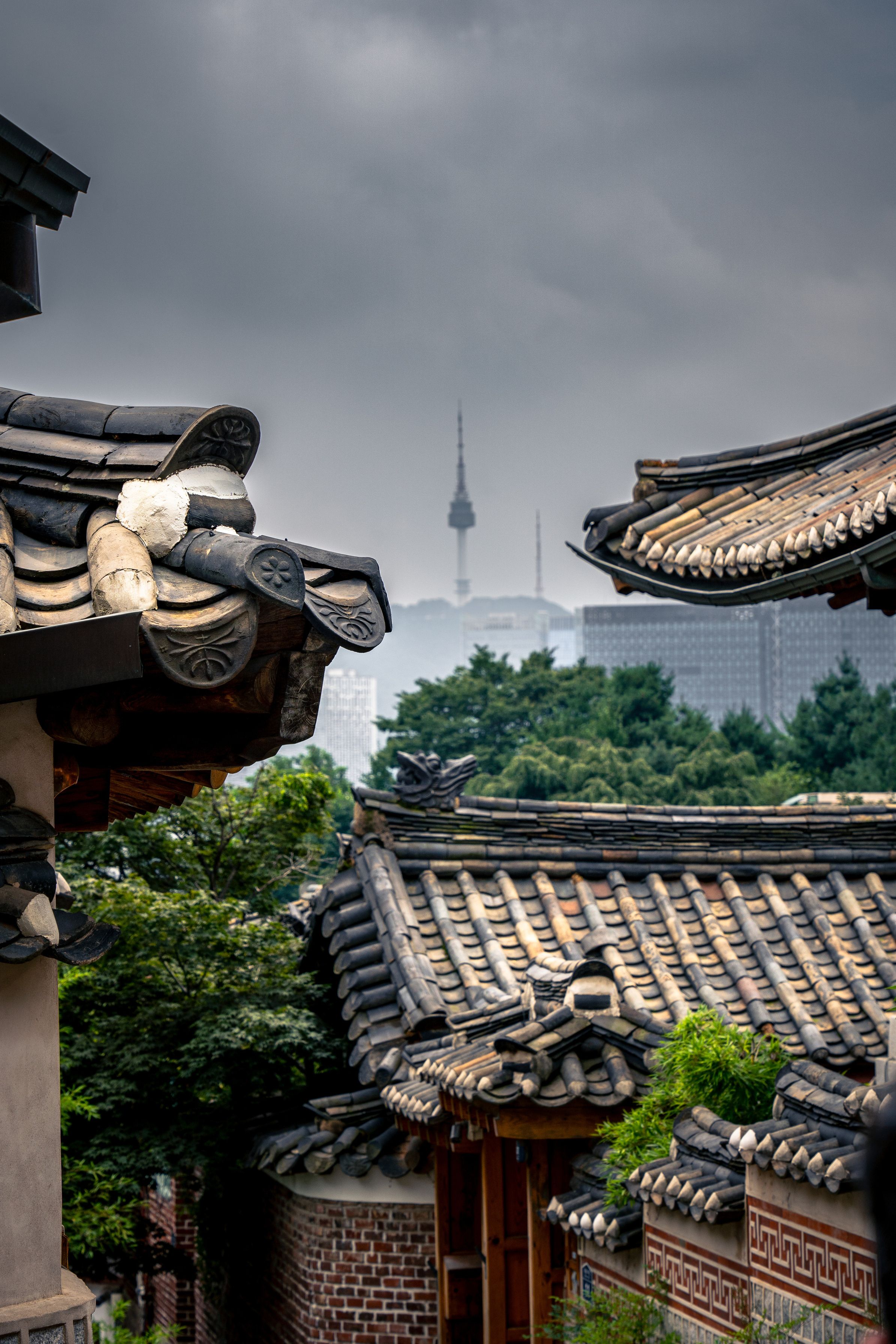 Amateur photographer Nikolai Abushinov