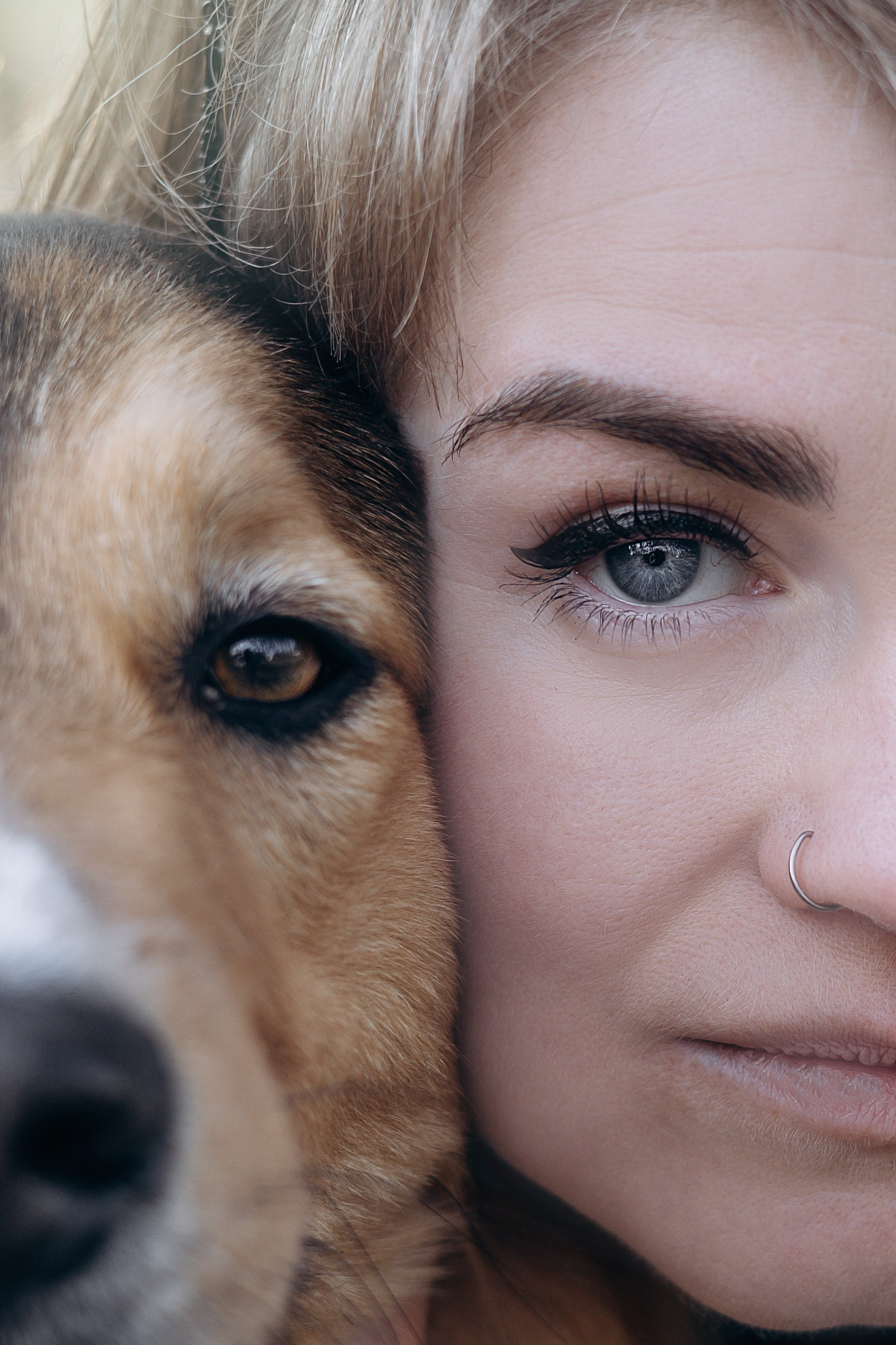 Тарифы и условия. Фотограф животных Евгения Верцинская