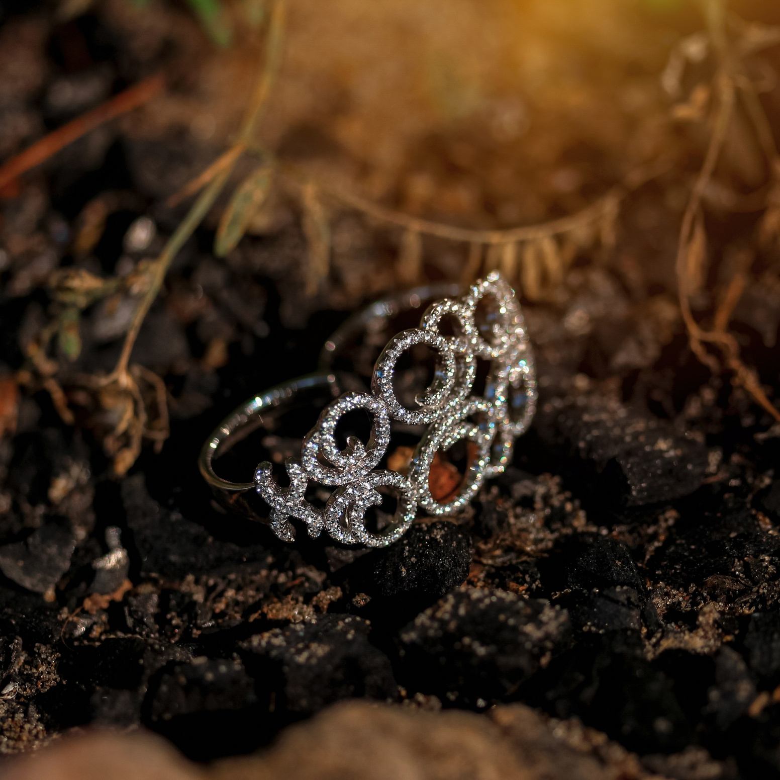 Заказать съемку. Фотограф Sonya Moiseeva в Санкт-Петербурге