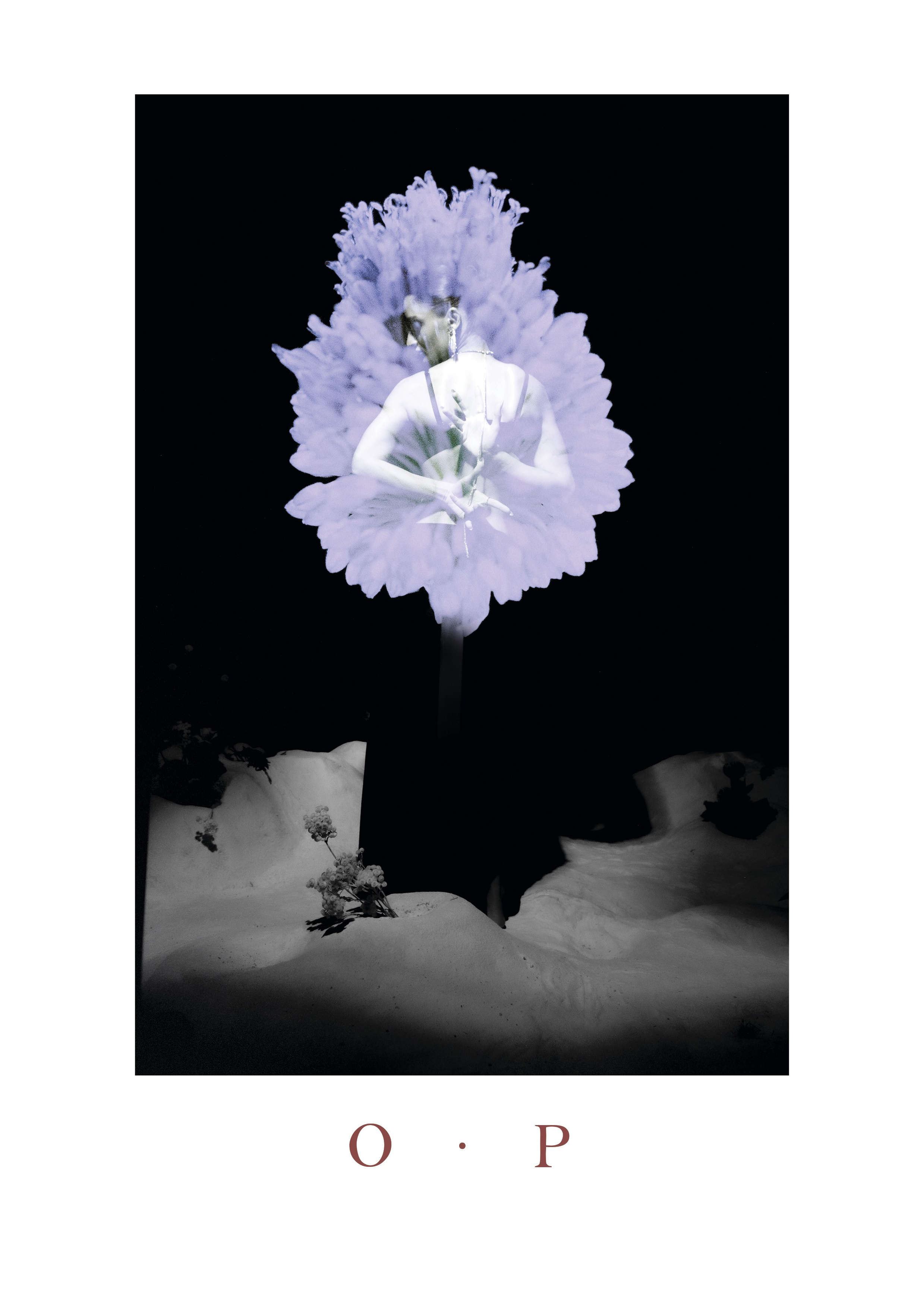 Сертификаты. Портретный и fashion-фотограф в Санкт-Петербурге Олеся Поле