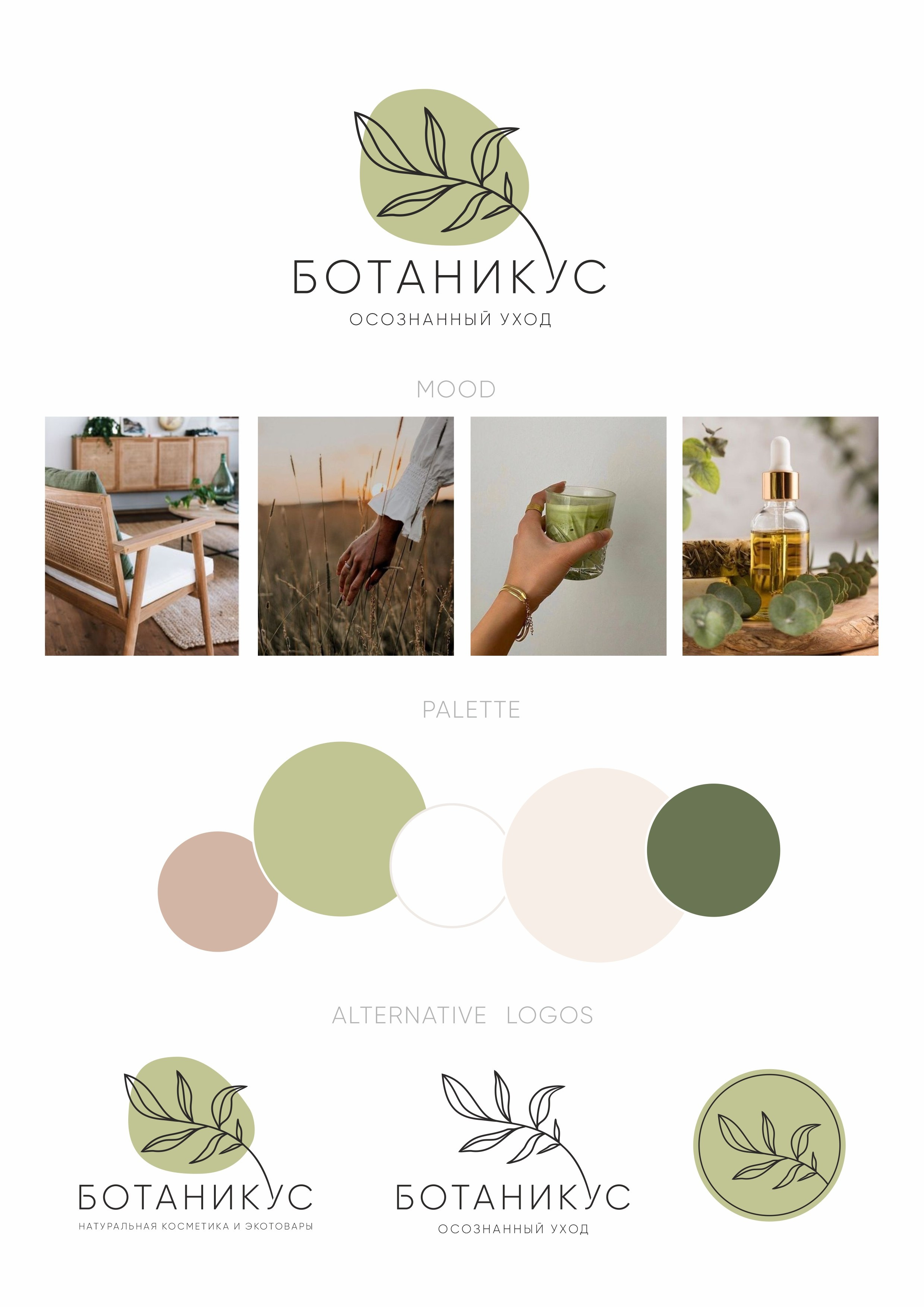 Логотип и фирменный стиль, Ботаникус