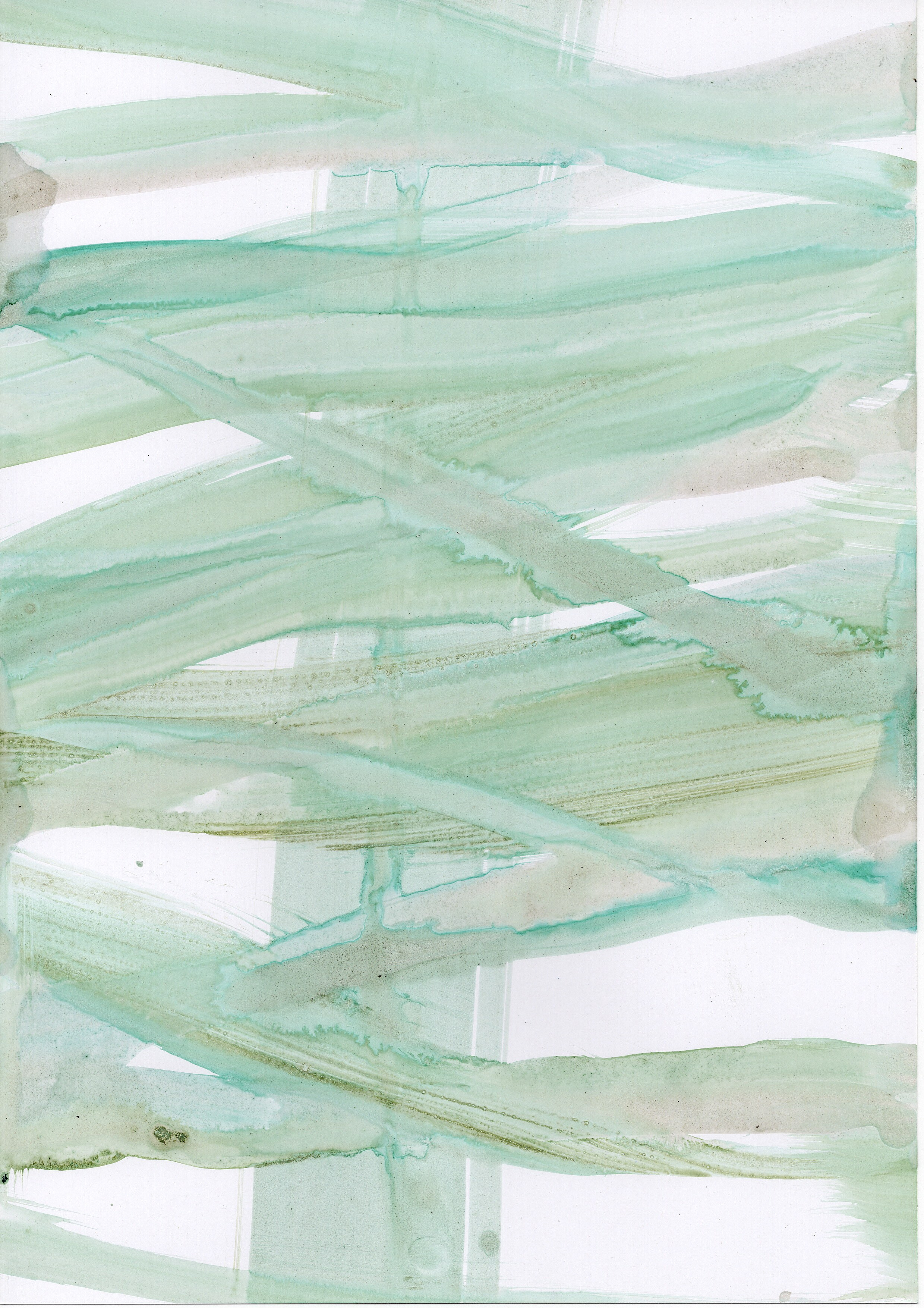 Аня Ким — Дикий сад