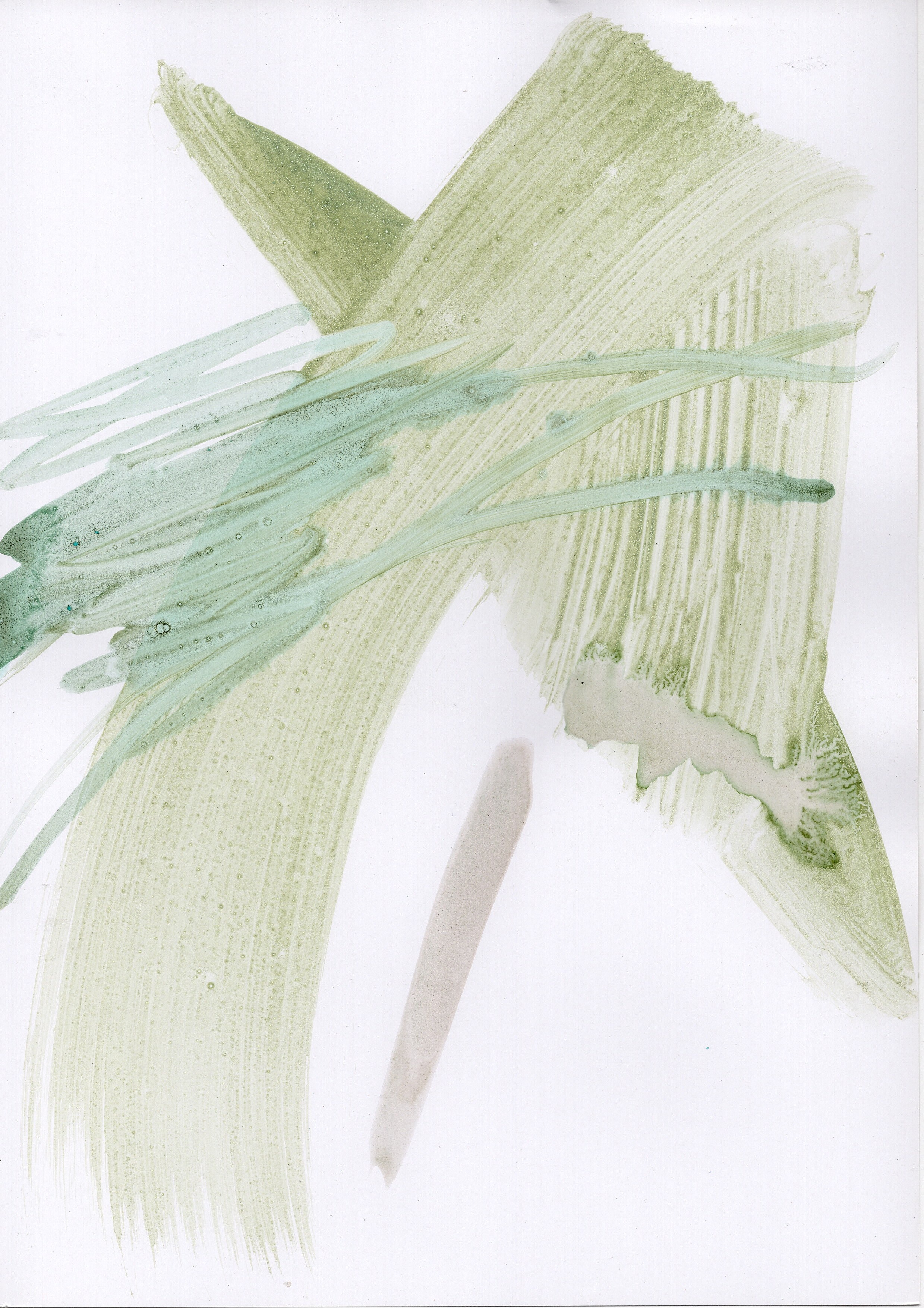 Аня Ким — Дикий сад