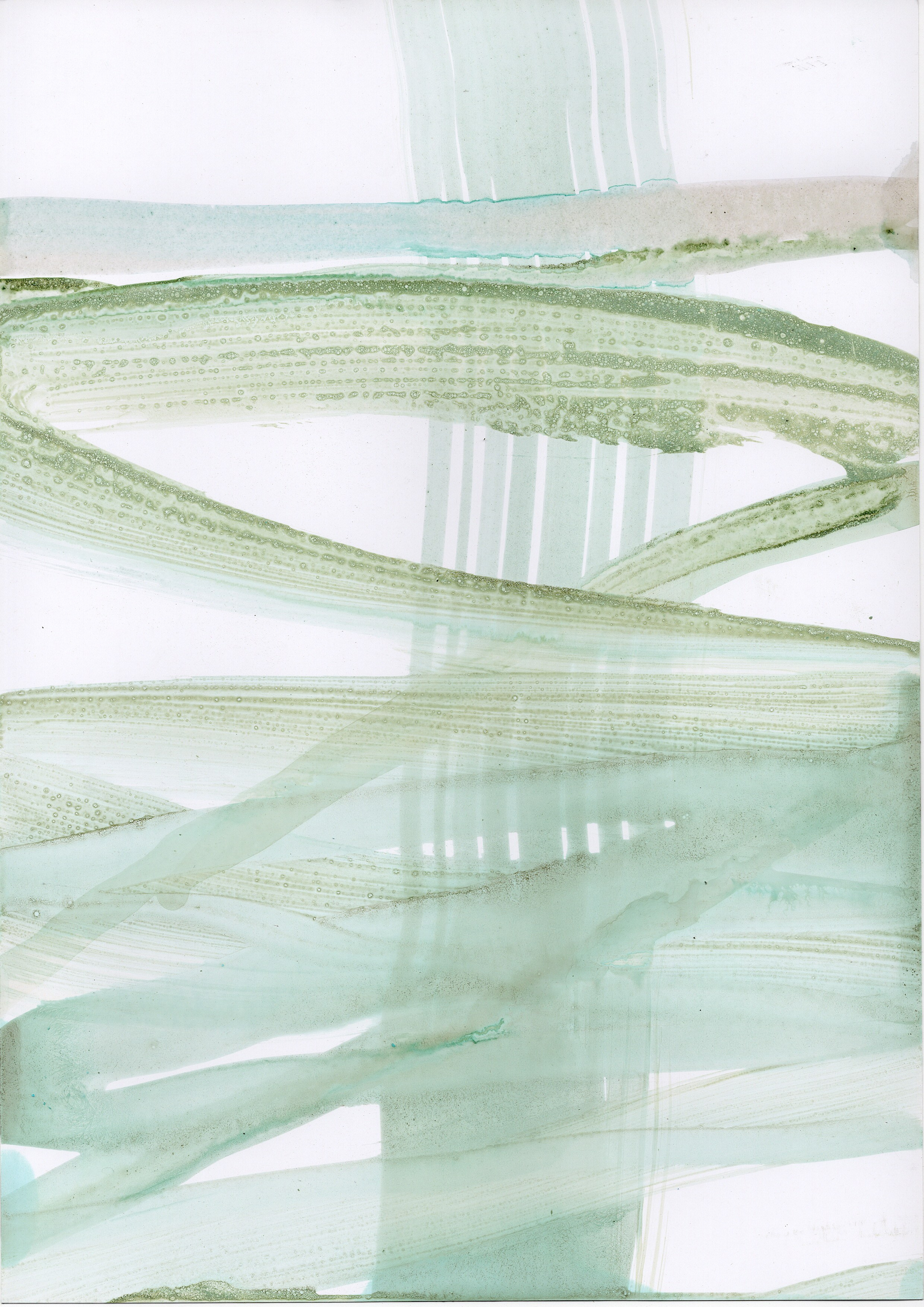 Аня Ким — Дикий сад