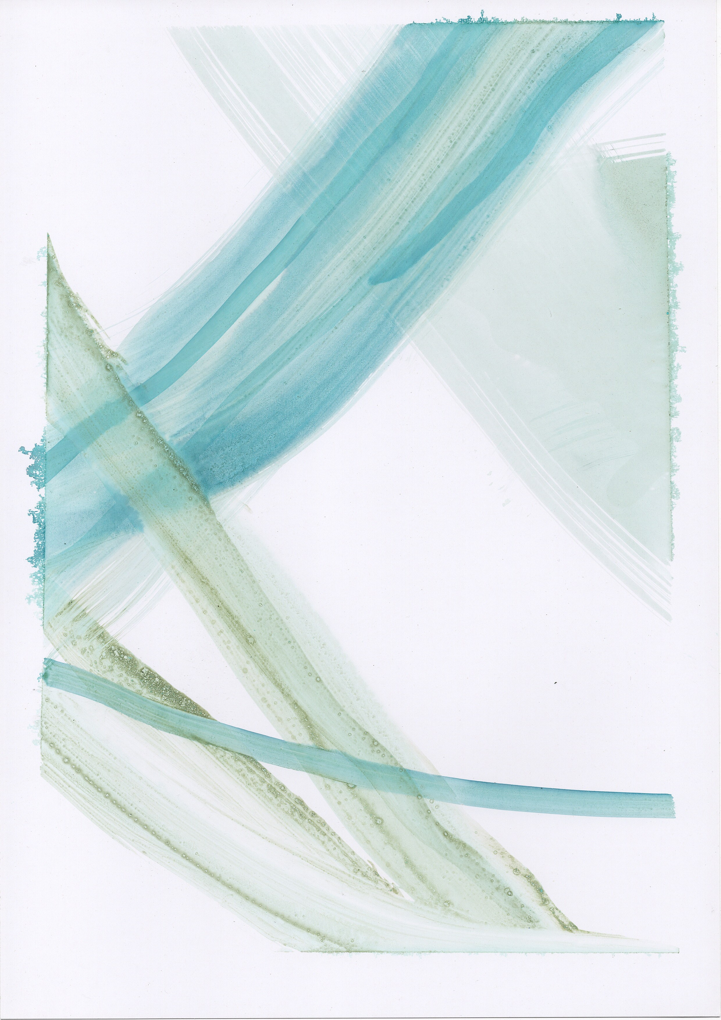 Аня Ким — Дикий сад