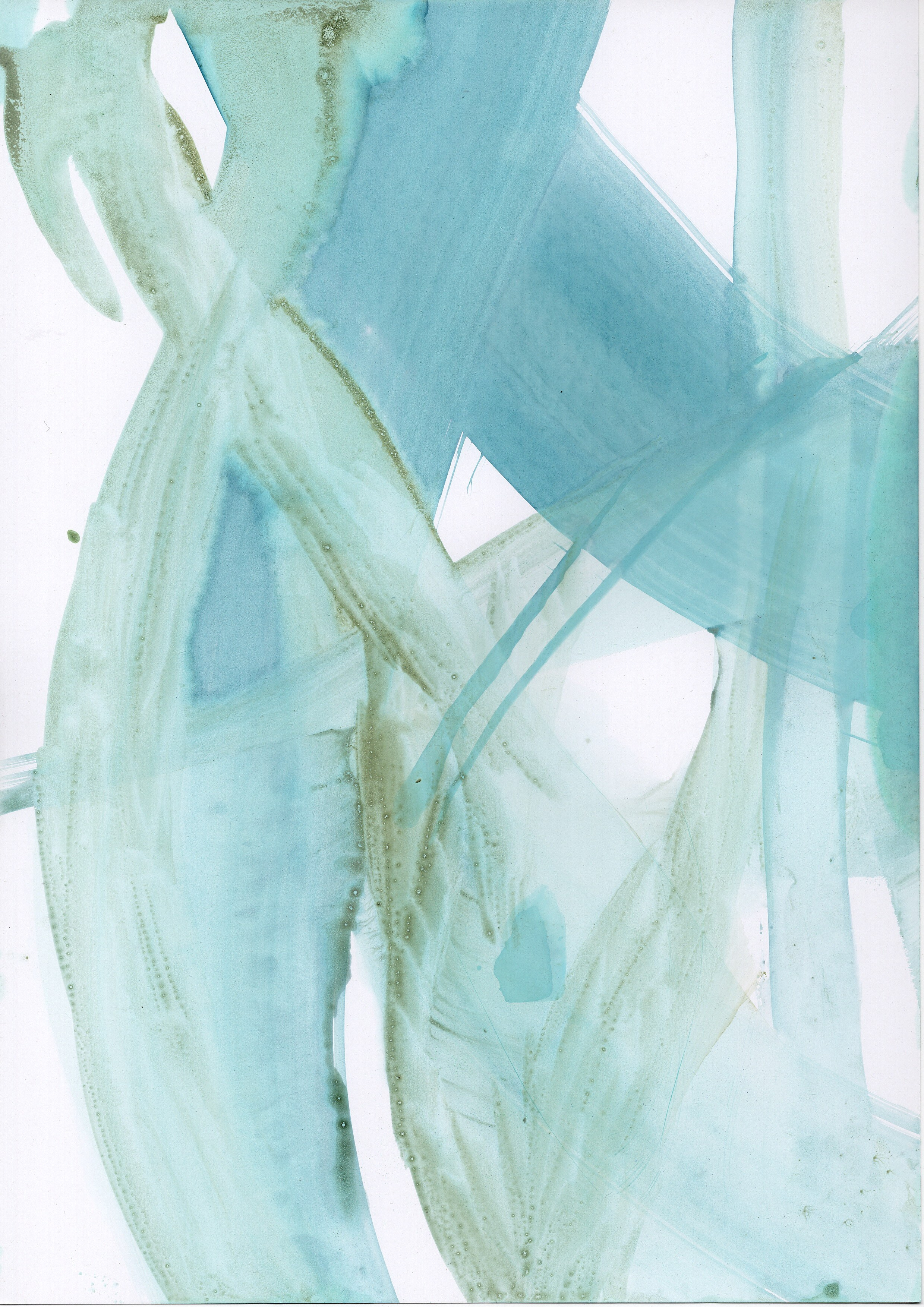 Аня Ким — Дикий сад