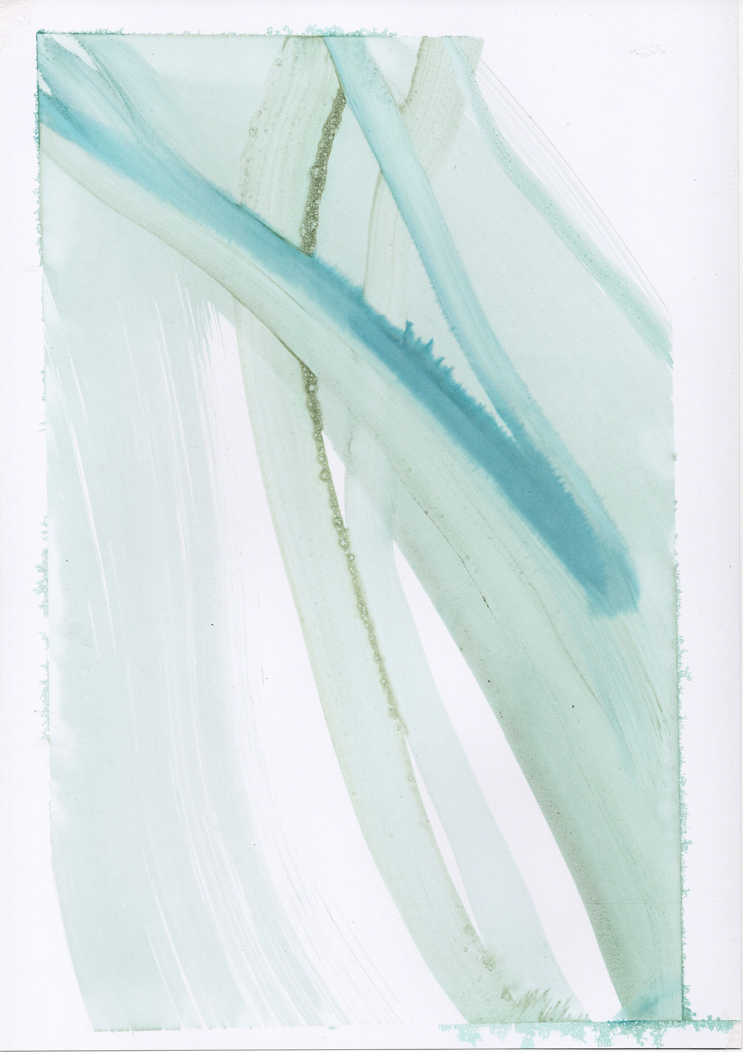 Аня Ким — Дикий сад