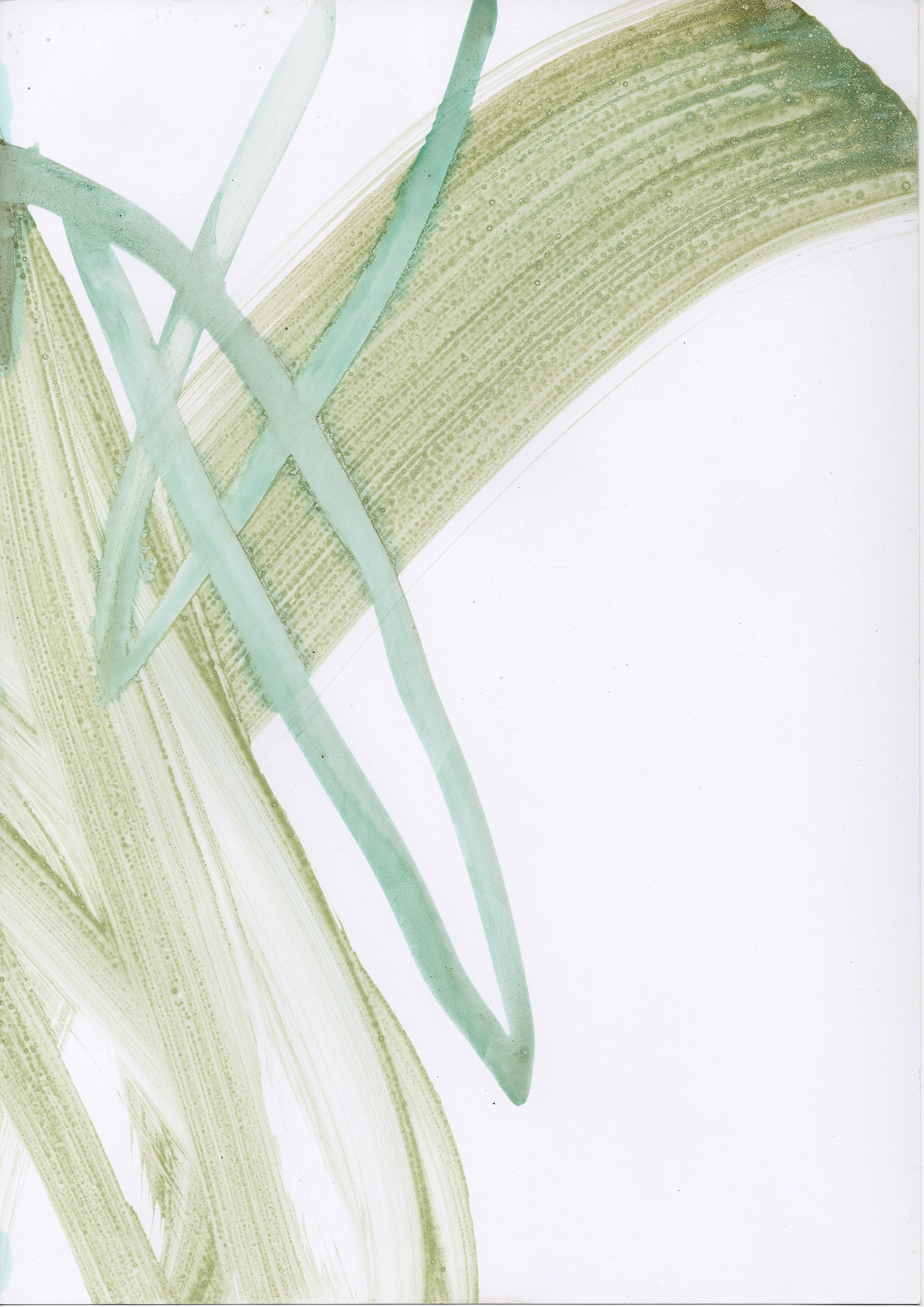 Аня Ким — Дикий сад