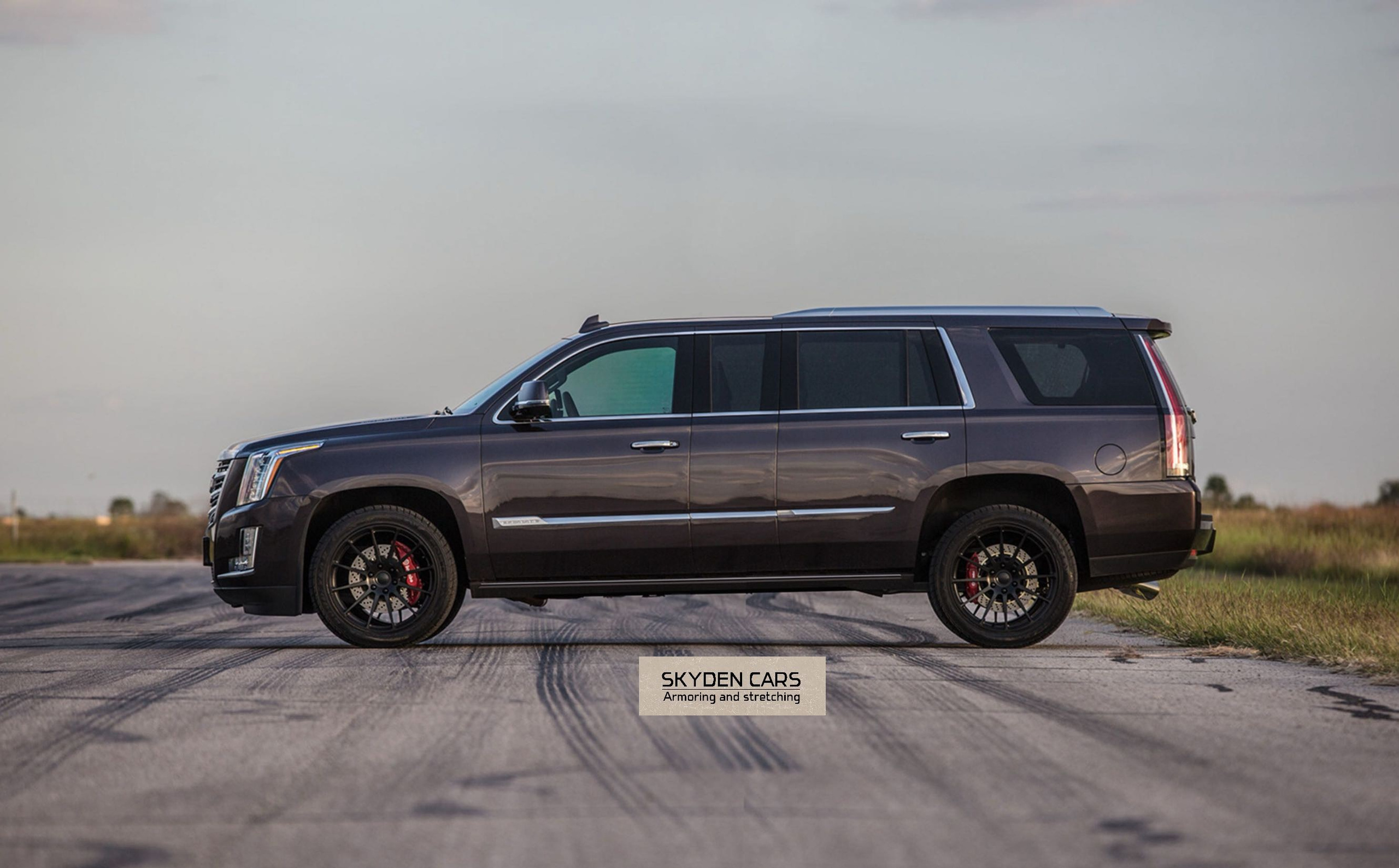 Stretched car. Skyden Cars