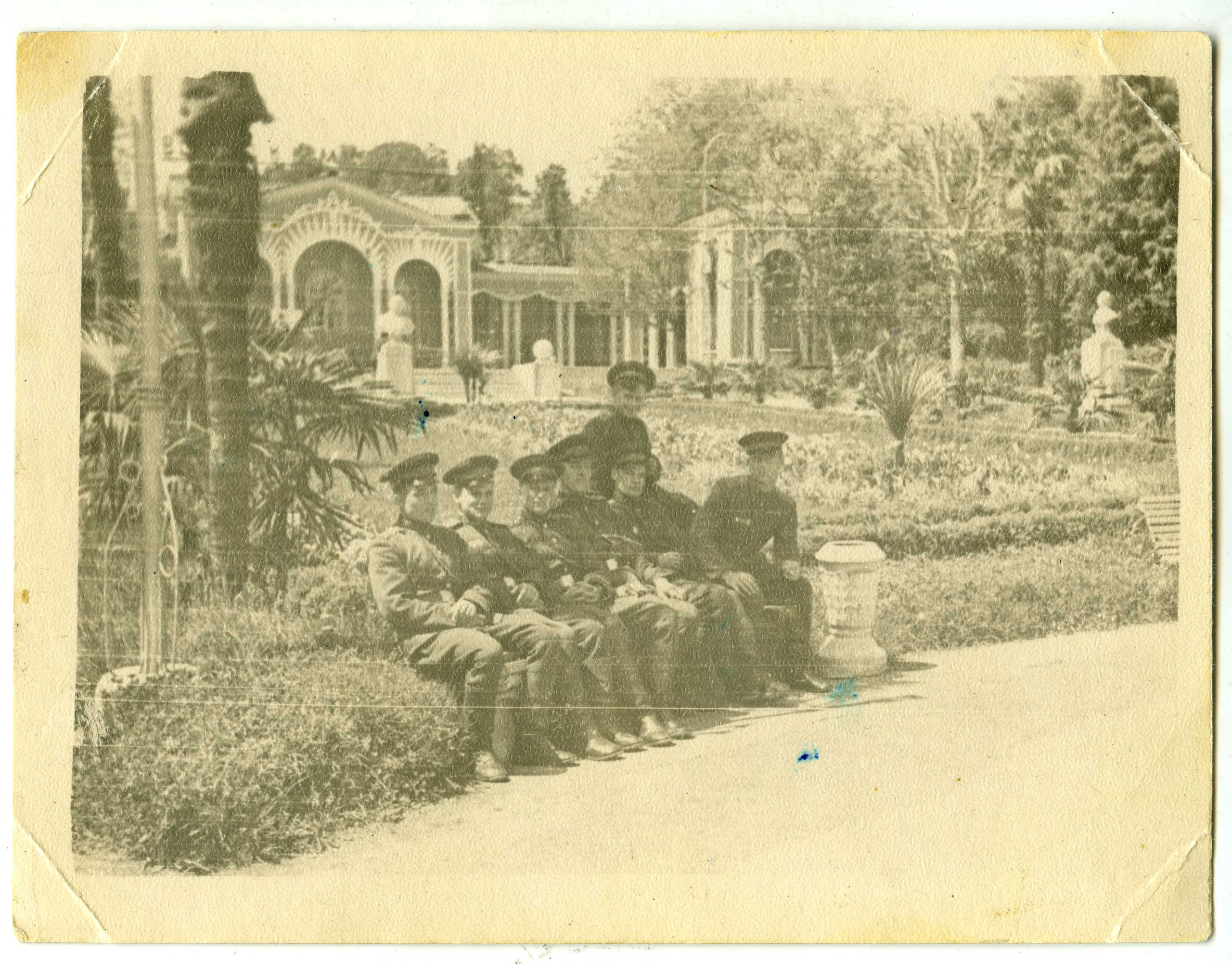 Фотография с пальмой. Курортное дело