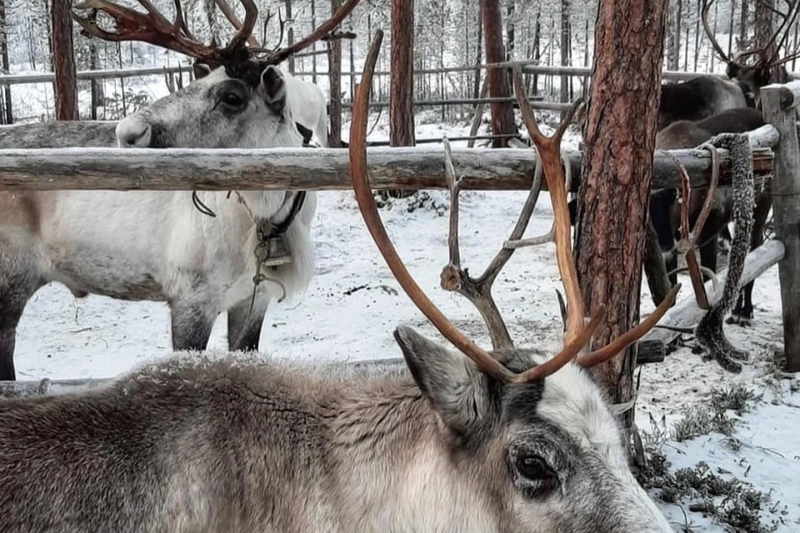 Мурманская Северное. Туры по России и миру