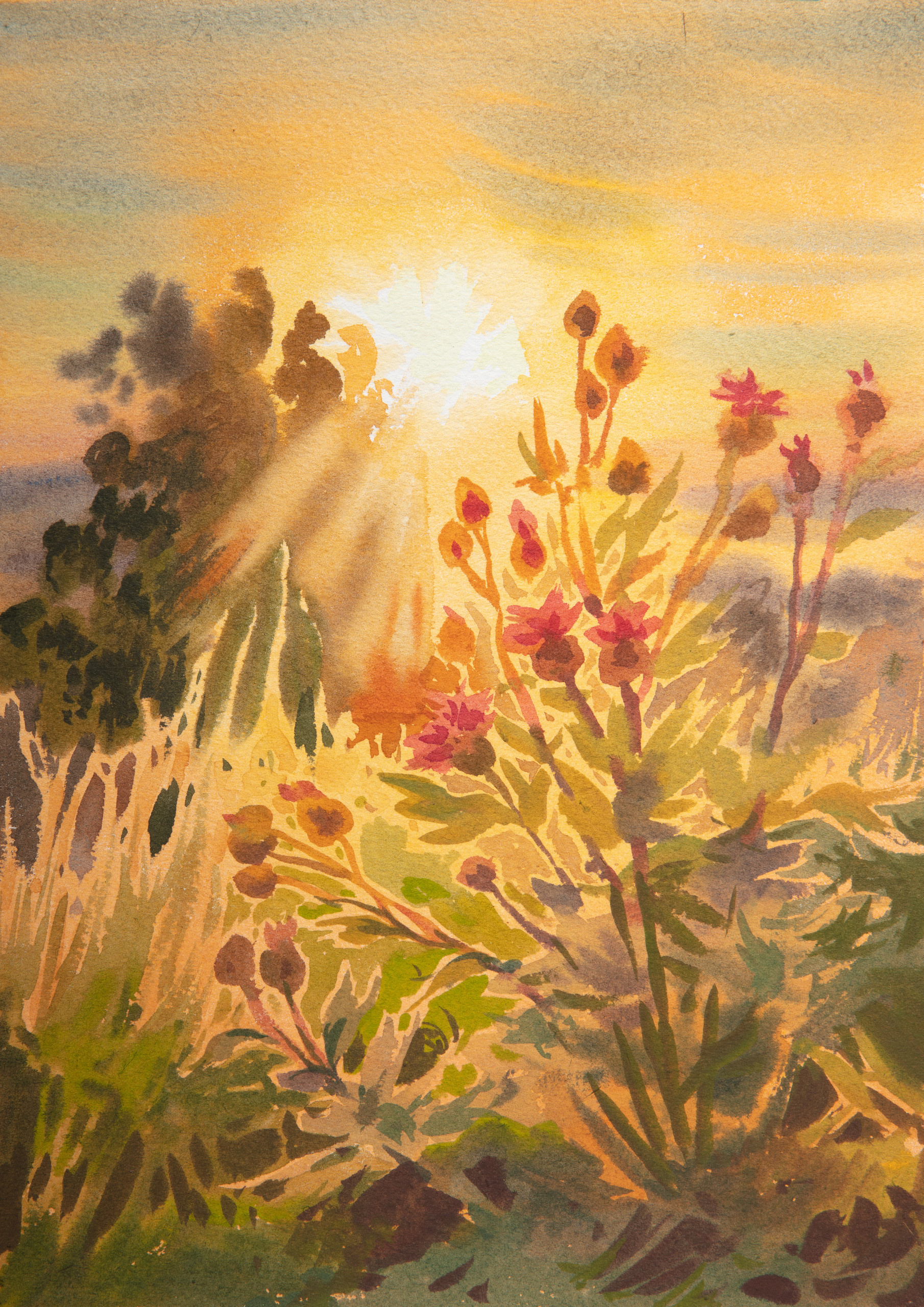 Связаться с художником. Картины — акварельная живопись и графика. Готовые картины и работы на