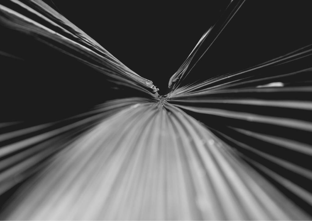 Book. Анжелика Кондратьева