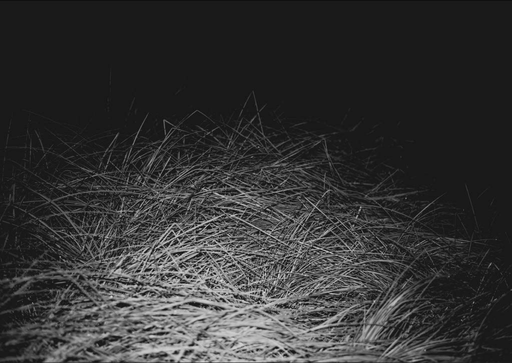 Book. Анжелика Кондратьева