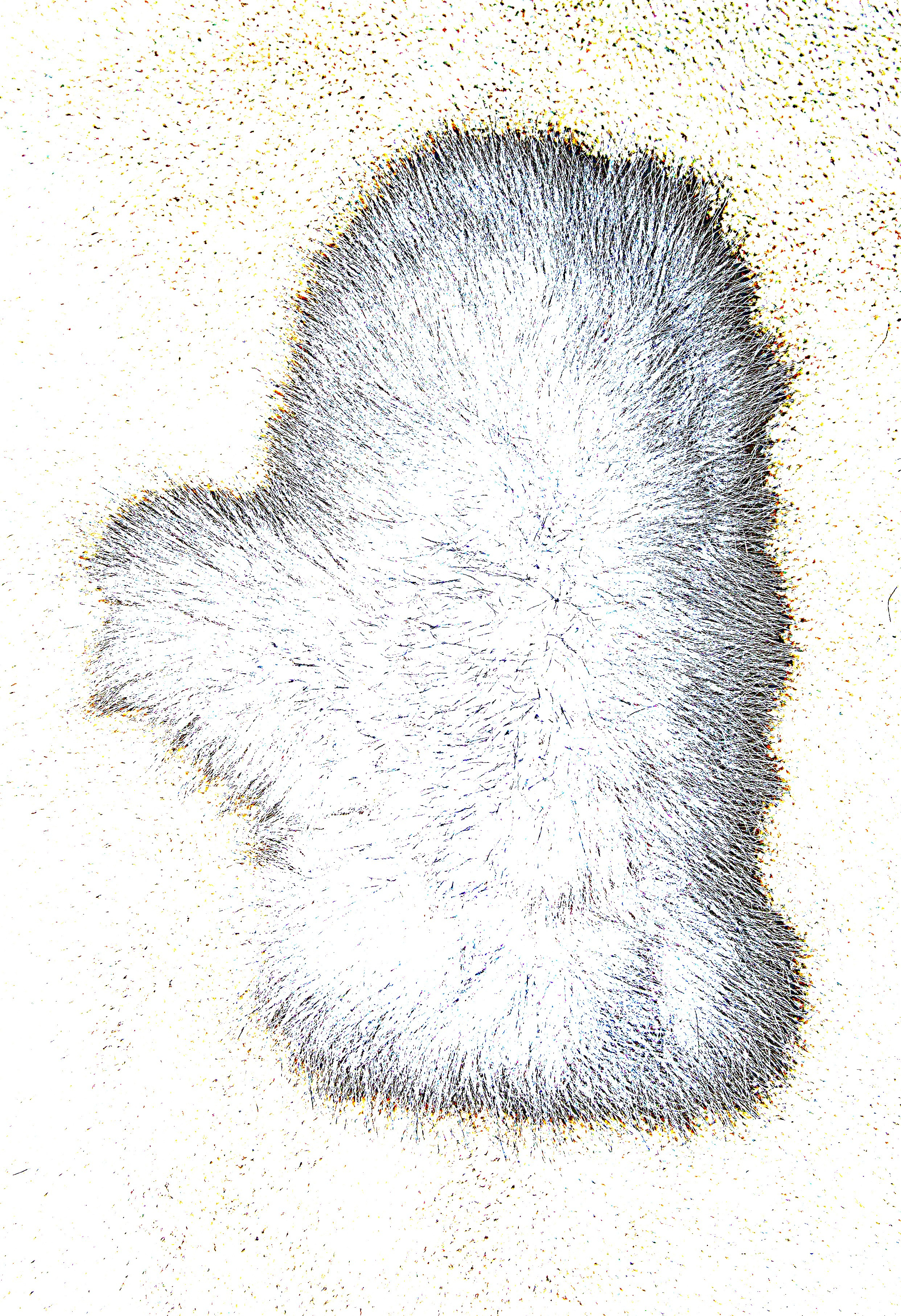 art, artist, photo, photography, photographer, contemporary art, talent, picture, pop art, gallery, фотограф, фотография, творчество, художник, рекламная съемка, творческая съемка, современное искусство, соврисск, совриск, современная фотография, творческая фотография, картины, попарт, поп арт, фото проекты, photo project, bag, сумка, cover song, обложка для музыкального альбома, обложка для книги, постер, картина