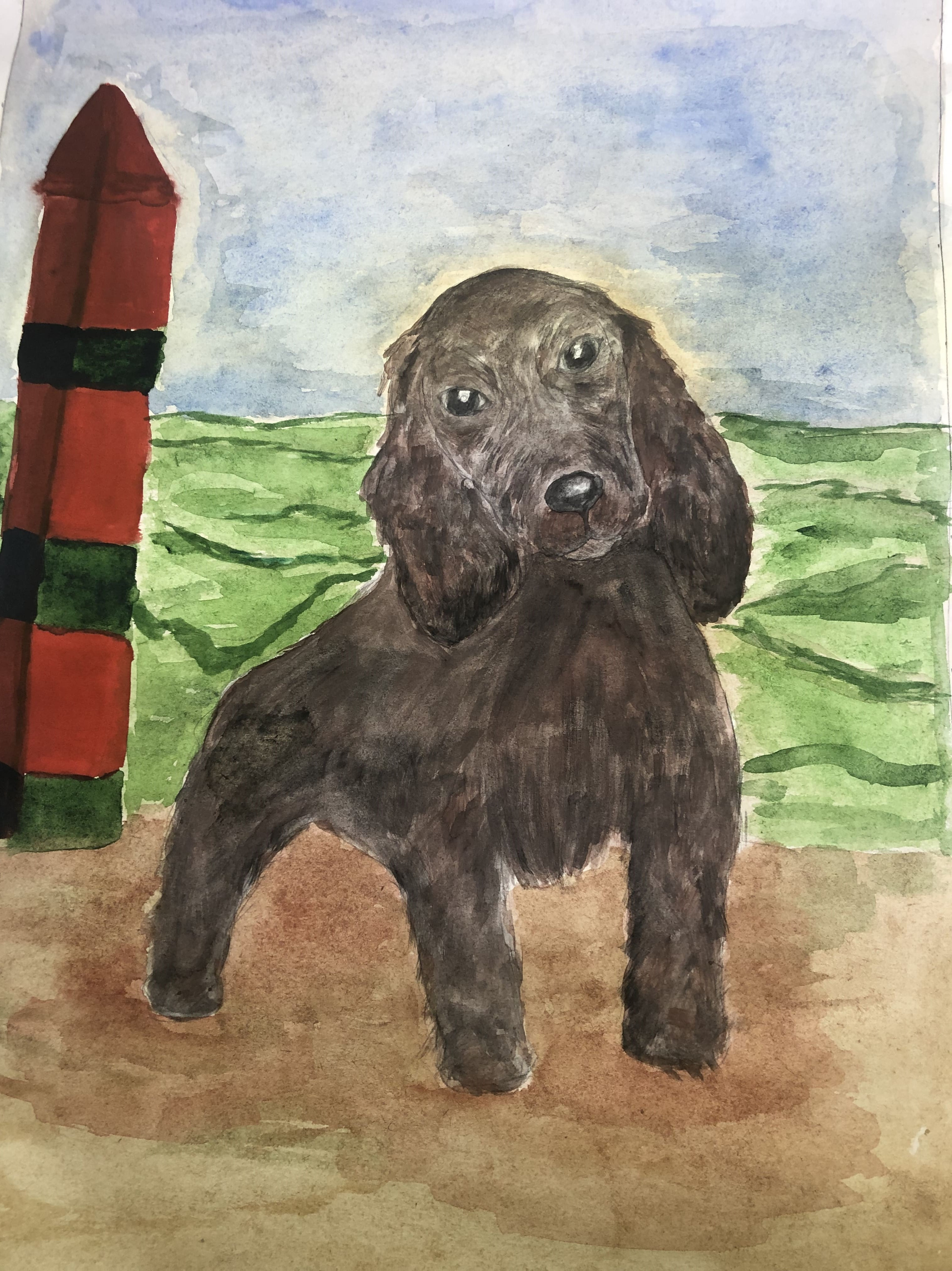 Акция 🔥"В память о четвероногом бойце. НРОО КЦ "Собаковод"