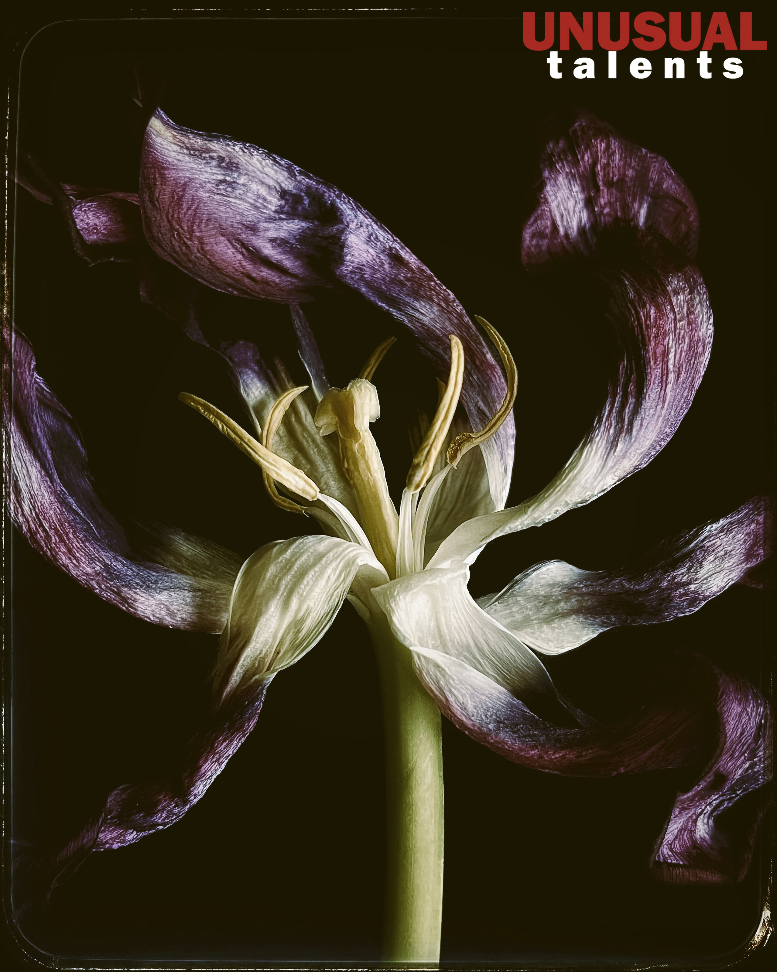 Yu Akhulkova. UNUSUAL TALENT magazine