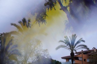 CITIES. OLGA NEFF. Artist. Visual, Music, Poesy