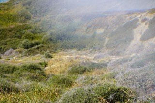 MAY. OLGA NEFF. Artist. Visual, Music, Poesy