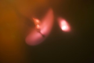 DREAMS. OLGA NEFF. Artist. Visual, Music, Poesy