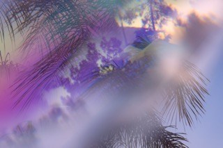 SUMMER. OLGA NEFF. Artist. Visual, Music, Poesy