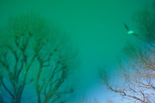 CITIES. OLGA NEFF. Artist. Visual, Music, Poesy