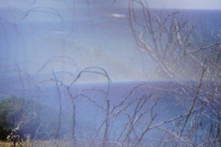 ARTIST'S STATEMENT. OLGA NEFF. Artist. Visual, Music, Poesy