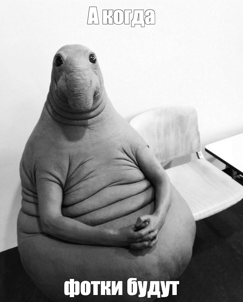 Вопросы о съемке новорождённых. Фотограф новорождённых в Перми и Култаево Анна Сажина