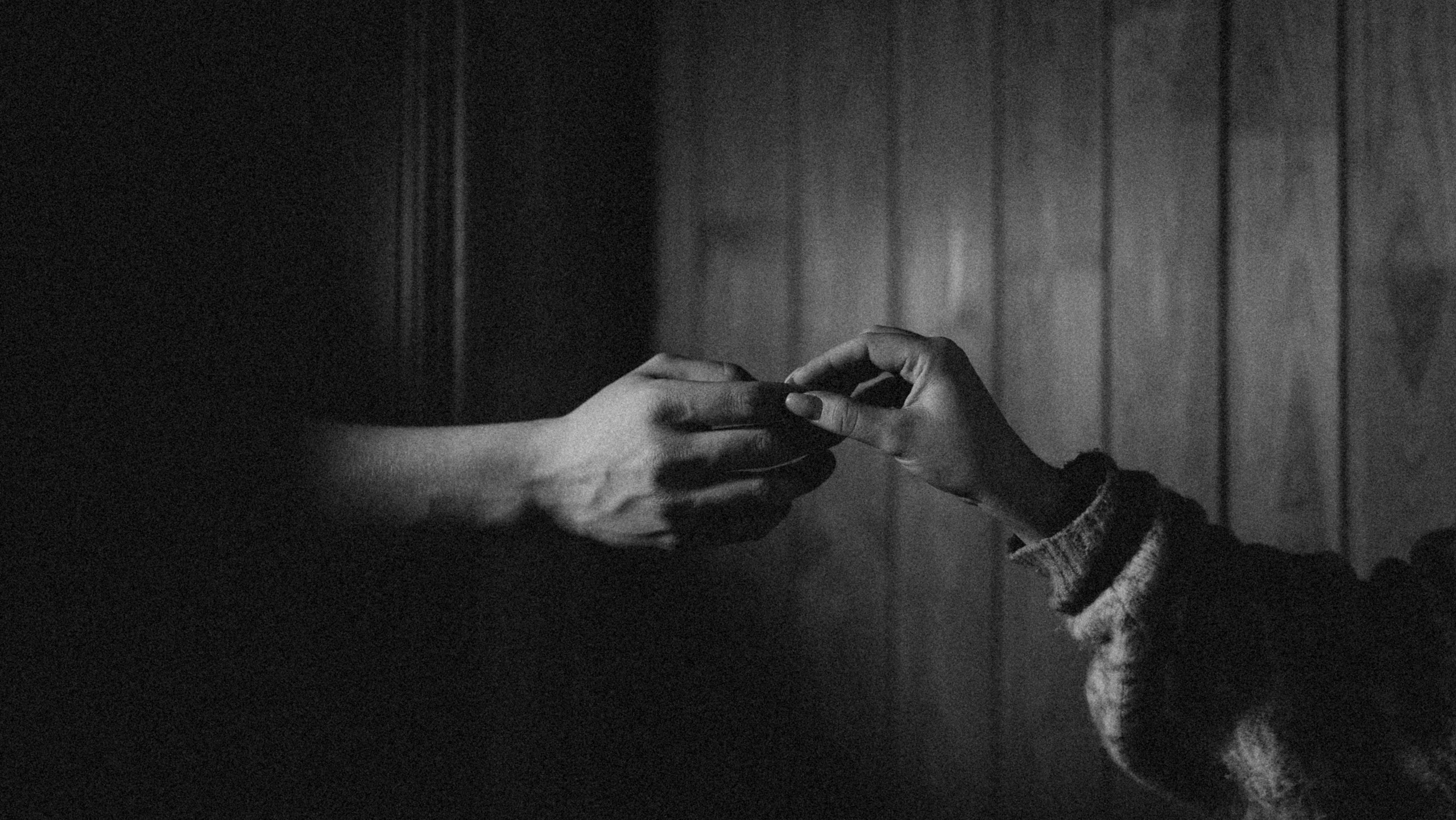 Фотограф Ульяна Дивина в Нижнем Новгороде и Нижегородской области