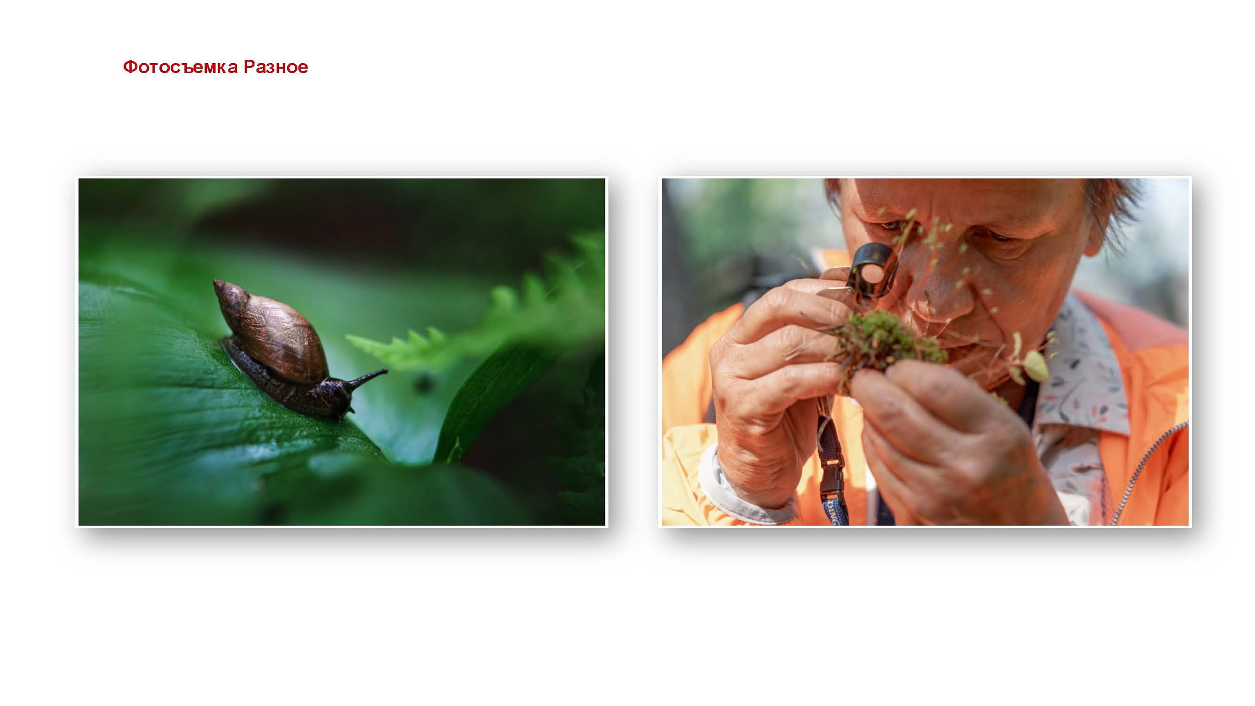 Презентация. ГРАНДФОТО.РФ