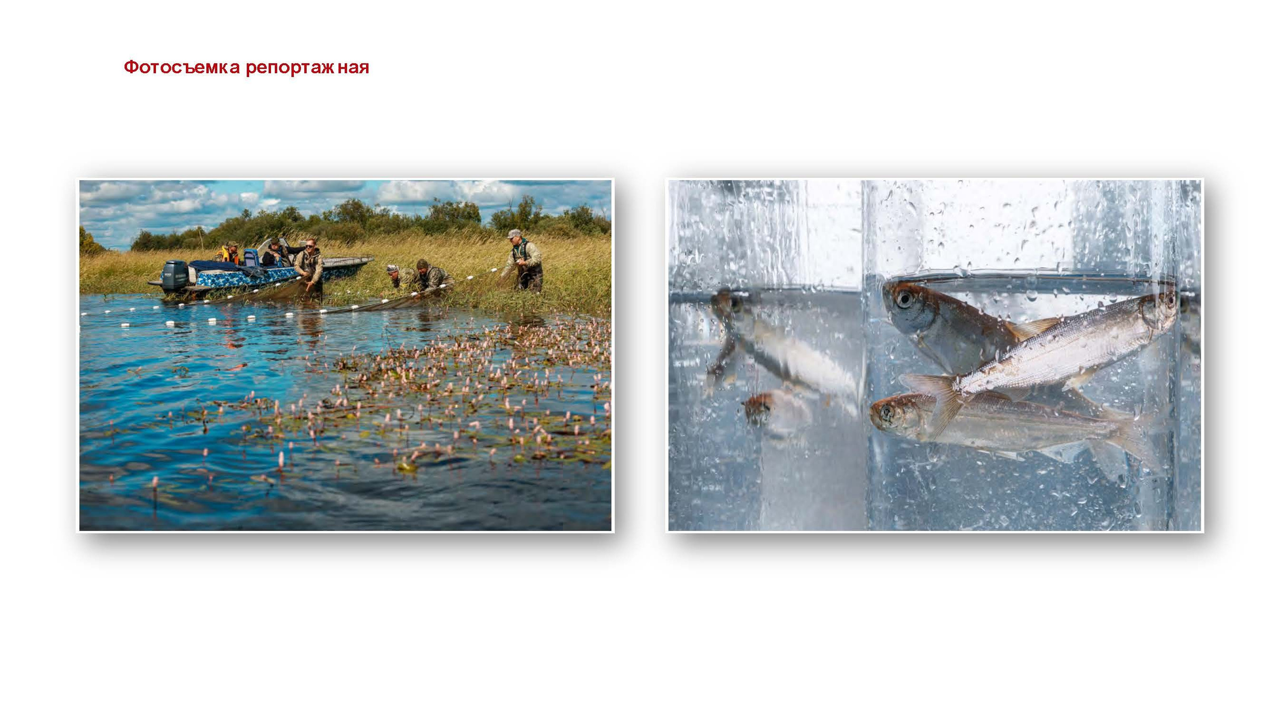 Презентация. ГРАНДФОТО.РФ