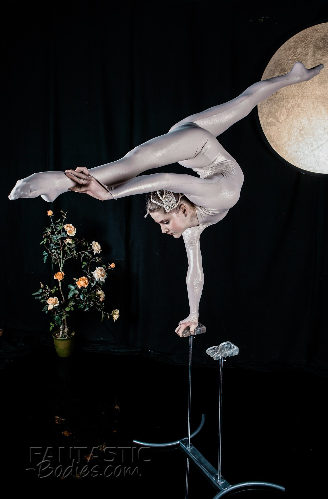 Кейсы. Fantastic-Bodies photo performance