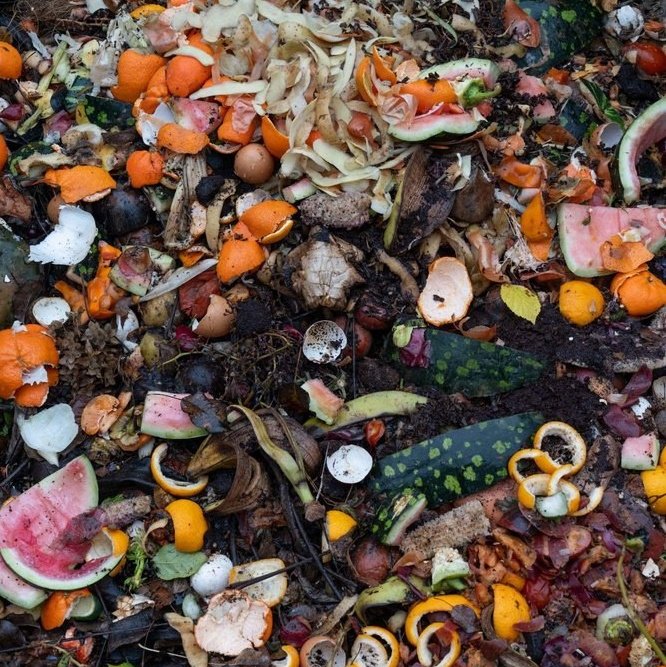 ФОТОсинтез. Могилевцева Дарья фотограф междисциплинарный художник