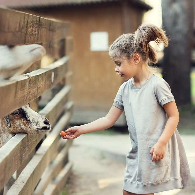 Стоимость. Фотограф новорожденных в Москве Ирина Асина