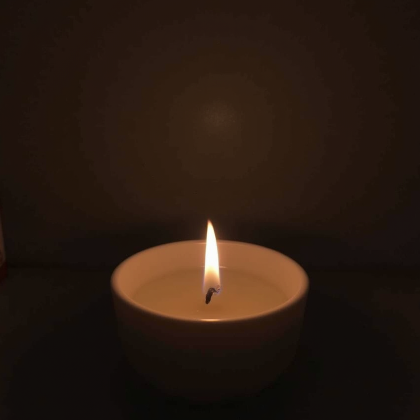 Главная (1). Главная