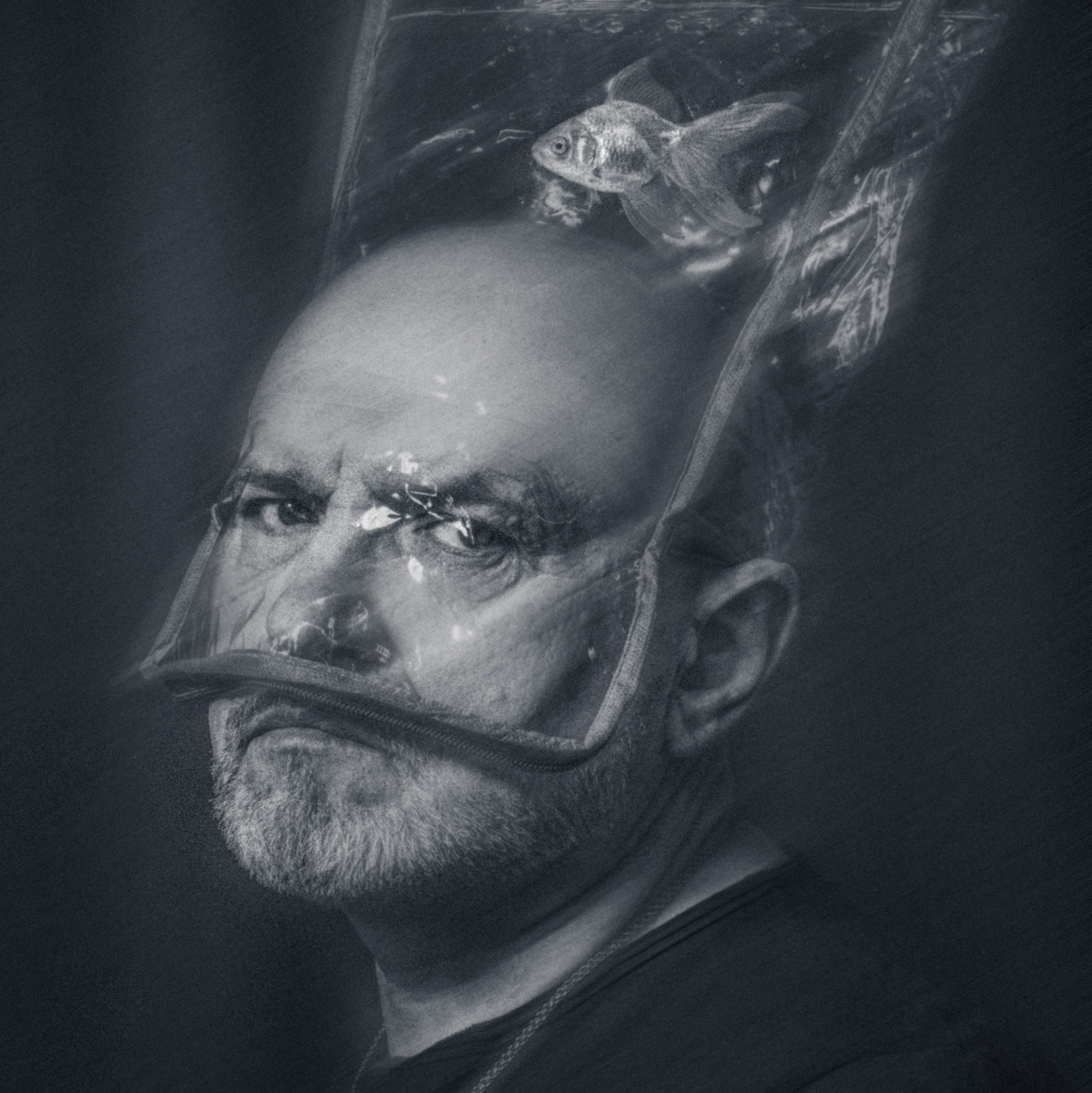 фотограф новосибирск, семейный фотограф новосибирск, детский фотограф новосибирск, фотограф анималист новосибирск, фотограф для животных новосибирск