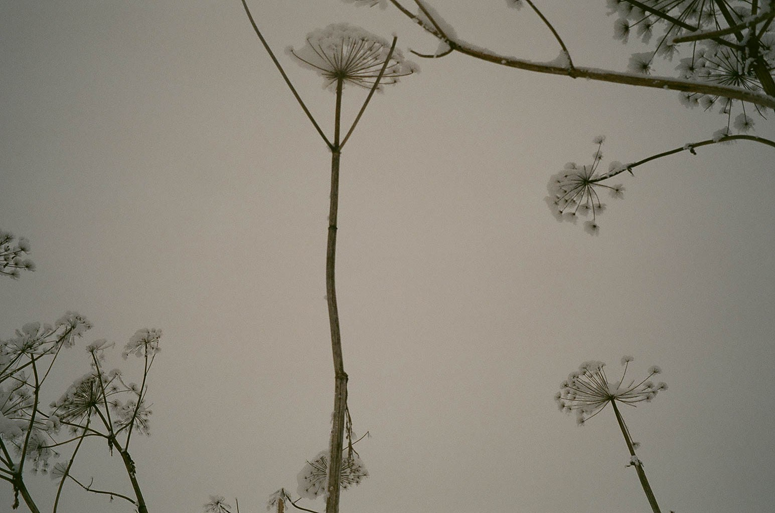 Горетово (2016-2022) — Избранные серии — Документальный фотограф Настя Сергеева