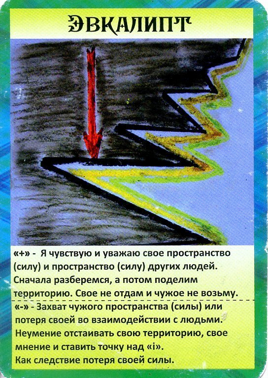 Масло эвкалипта. VDAO.RU — исцеляющие практики