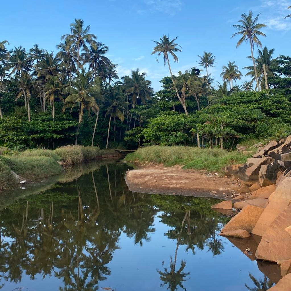 ИНДИЯ 2026. Художник, арт — терапевт, преподаватель рисования Шабырова Анна, Москва