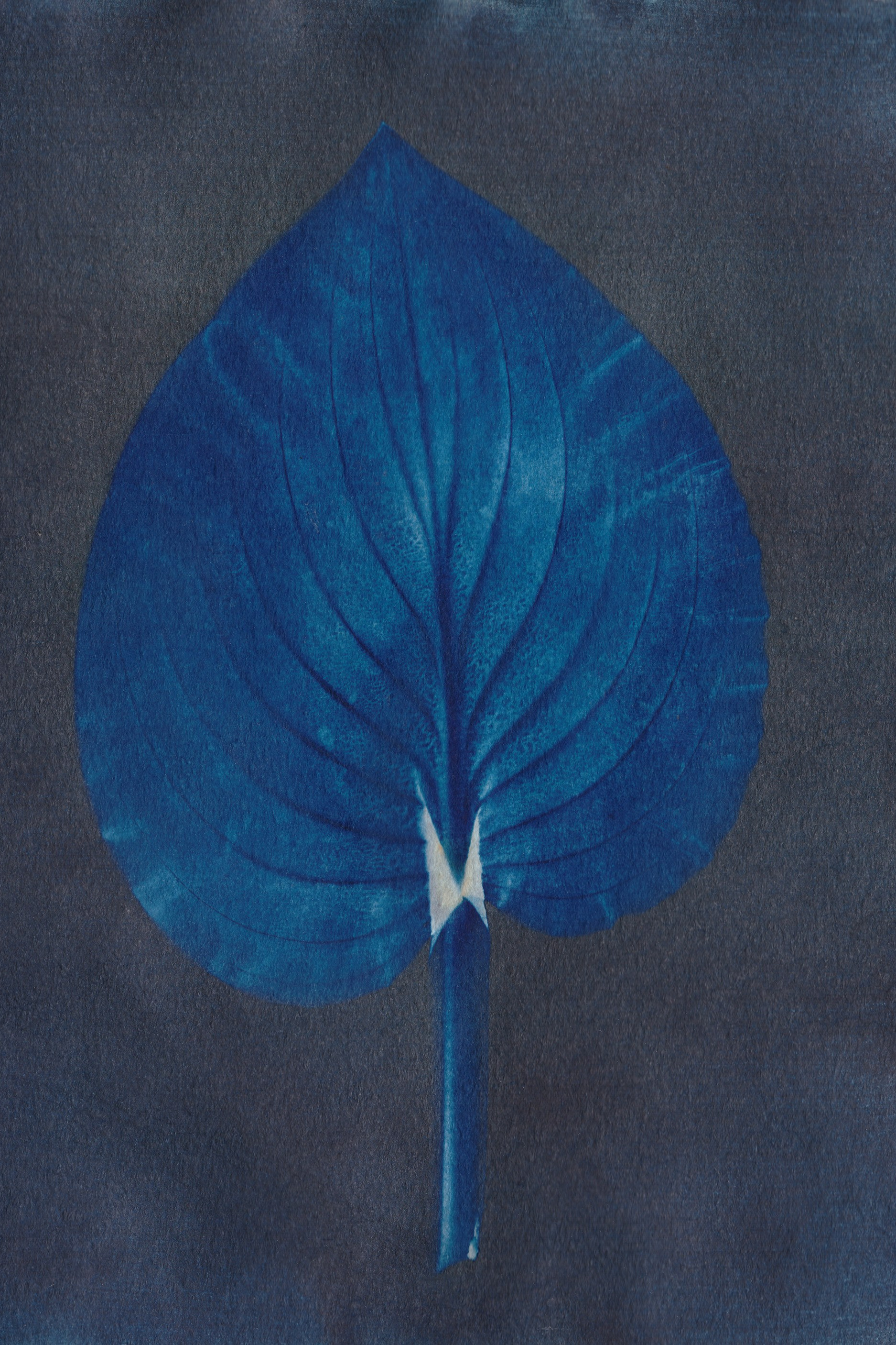 Контент-фотограф Татьяна Киричук в Ростове-на-Дону