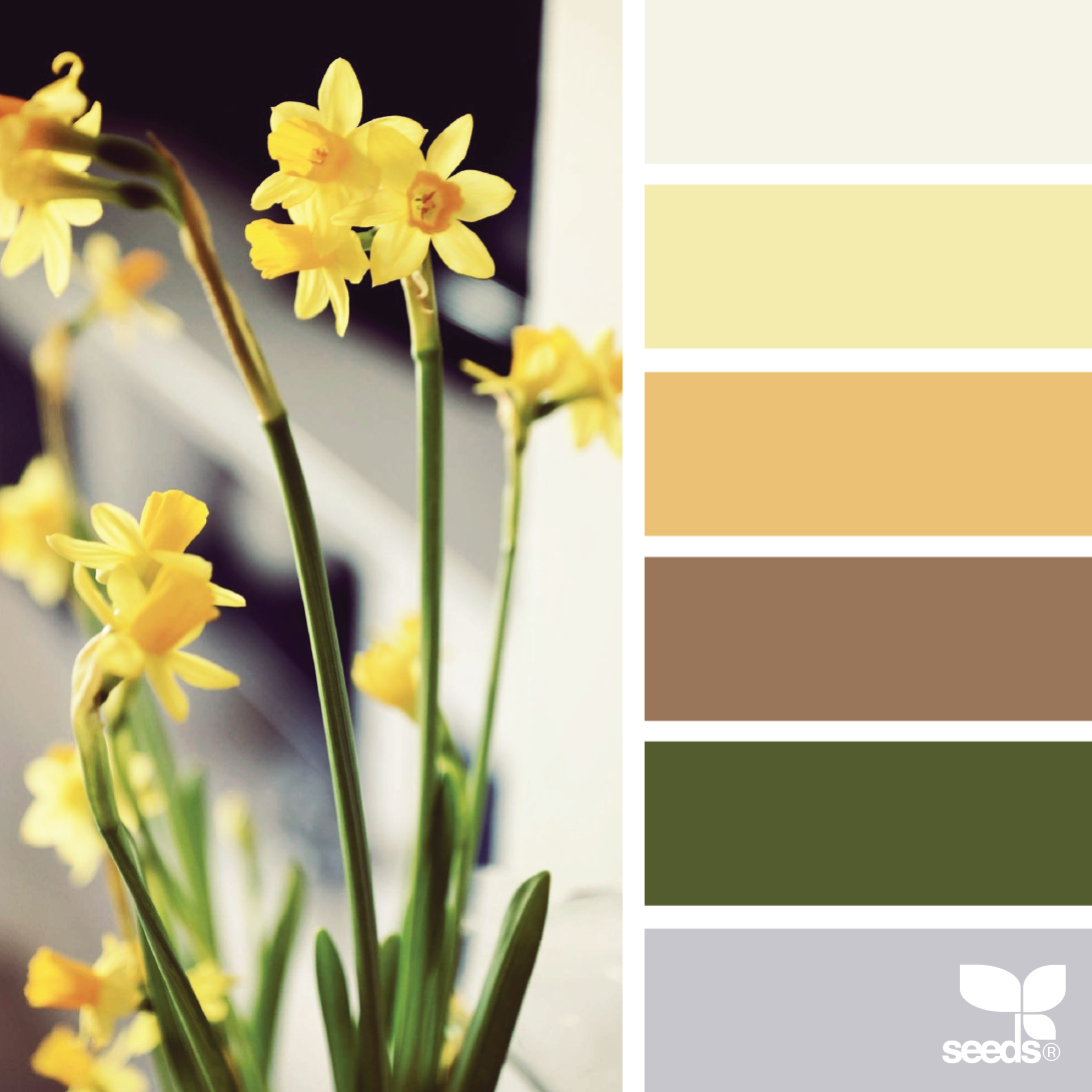 Локации и их цветовые гармонии. Степанова Анна.Детский и семейный фотограф Крым