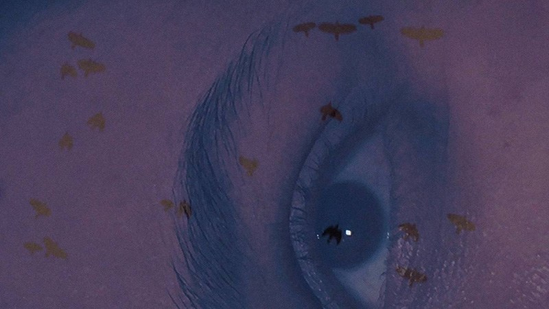 Gravity. Olesya Nakipova — fashion and documentary film director