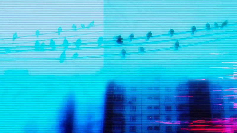 Gravity. Olesya Nakipova — fashion and documentary film director